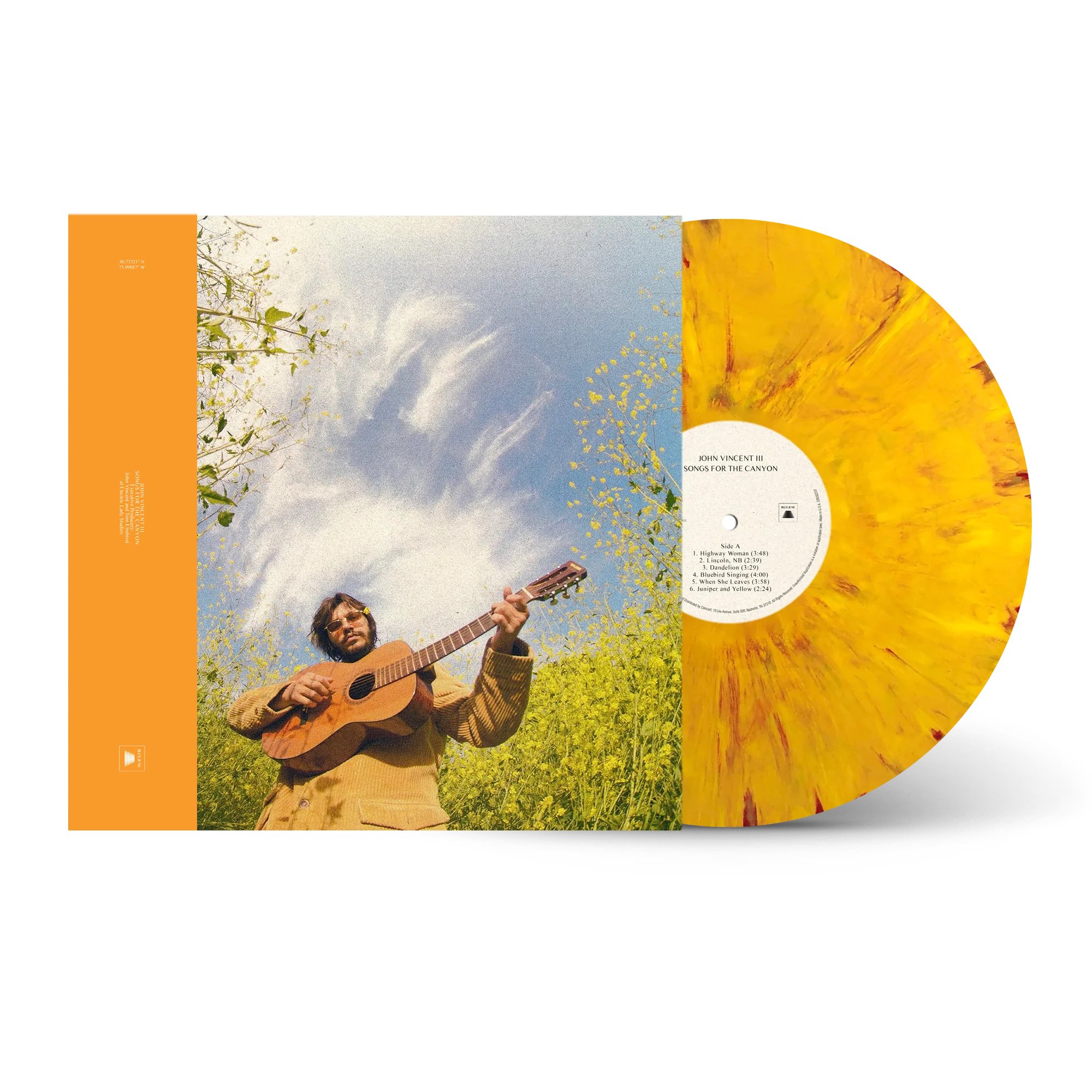 Songs For The Canyon - Sunshine & Pain Vinyl